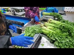 Verpakkingsmachine voor koekjes en snoepjes