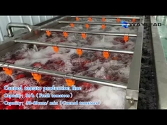 Verpakkingsmachine voor 1 kg tomatenblik