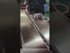 Automatische horizontale stroomverpakkingsmachine HFS Commerciële ijsjesverpakkingsmachine WZ-220