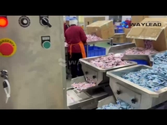 welkom om het efficiënte werkproces van de zakverpakkingsmachine te zien.