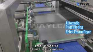 Automatische plaatplaatsende robotvriesdroger