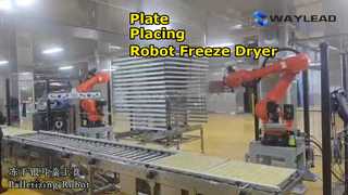 Automatische plaatplaatsingsrobot vriesdroger Verpakkingsmachine