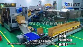 Materiaalbehandeling, transport, automatische tel-, verpakkings- en palletiseersystemen