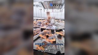 VFFS-verpakkingsmachine voor voedselkorrels, vloeistoffen, poeders