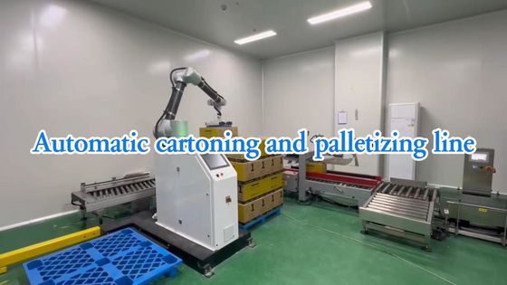 WG300 Industriële automatische voedselverpakkingslijn SUS304