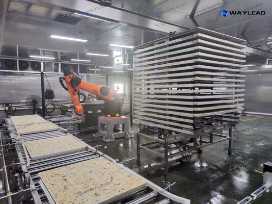 Automatische plaatplaatsrobot met een hoog rendement, op maat gemaakt voor productielijnen voor vriesdrogers